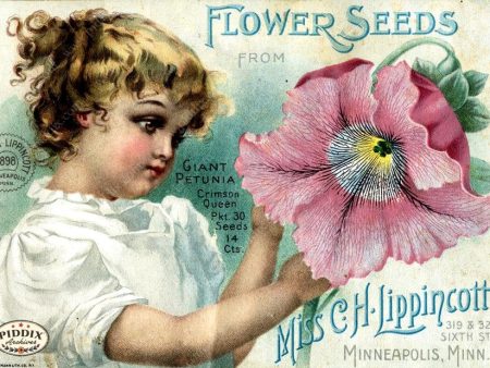 PDXC1545 -- Flower Seed Catalogs Hot on Sale