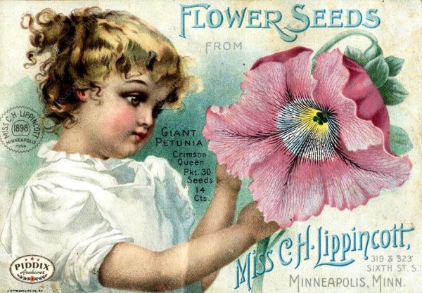 PDXC1545 -- Flower Seed Catalogs Hot on Sale