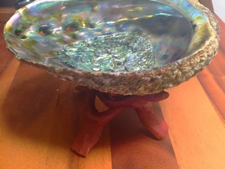 Abalone Shell For Sale