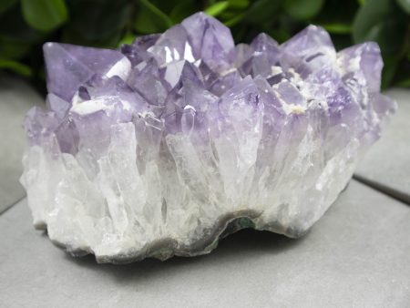 Large Amethyst Crystal Cluster Cheap