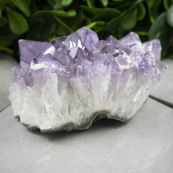 Large Amethyst Crystal Cluster Cheap