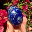 Lapis Lazuli Egg Discount