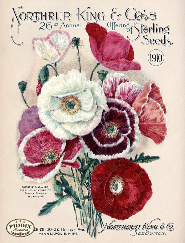 PDXC1558 -- Flower Seed Catalogs Online