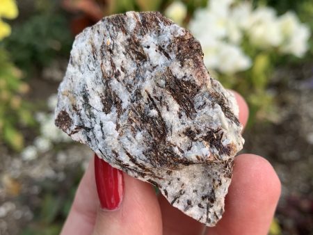 Astrophyllite 2  on Sale