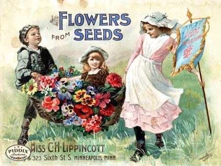 PDXC1547 -- Flower Seed Catalogs For Cheap