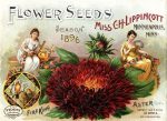 PDXC1553 -- Flower Seed Catalogs Online