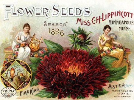 PDXC1553 -- Flower Seed Catalogs Online