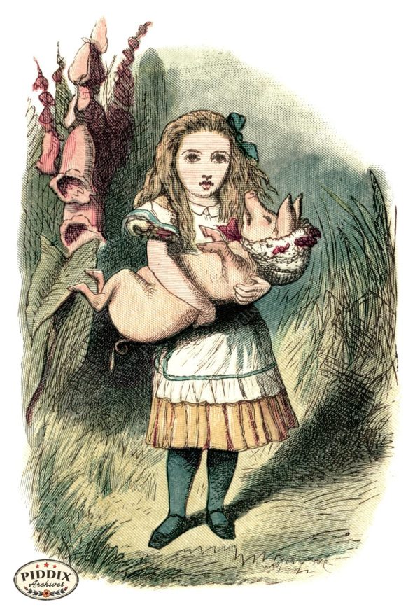 PDXC1191 -- Alice in Wonderland Online Sale