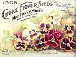 PDXC1534 -- Flower Seed Catalogs Supply