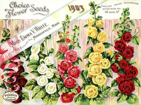 PDXC1535 -- Flower Seed Catalogs Discount