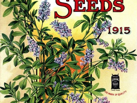 PDXC1559 -- Flower Seed Catalogs Online Hot Sale