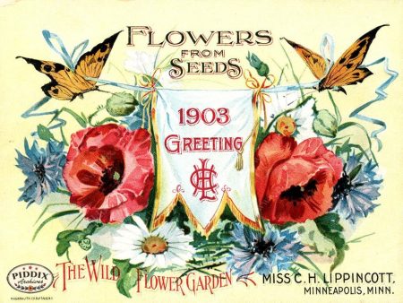 PDXC1551 -- Flower Seed Catalogs Online Sale