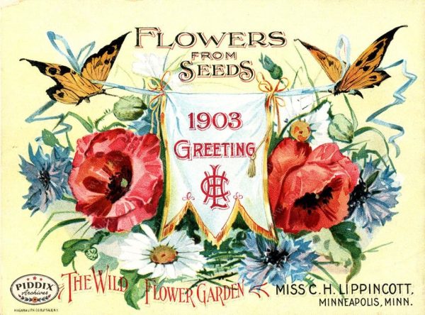 PDXC1551 -- Flower Seed Catalogs Online Sale