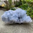 Celestine (aka Celestite) For Sale