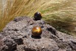 Mini Tiger Eye Sphere Supply