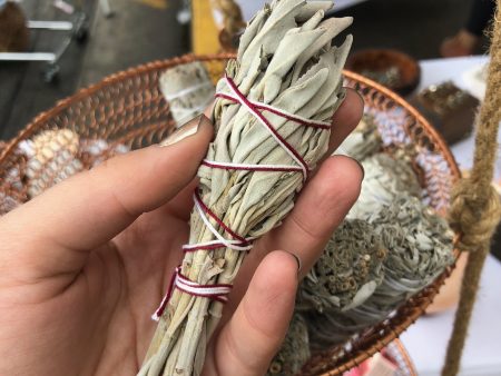 Mini White Sage Bundle Supply