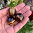 Mini Tiger Eye Sphere Supply