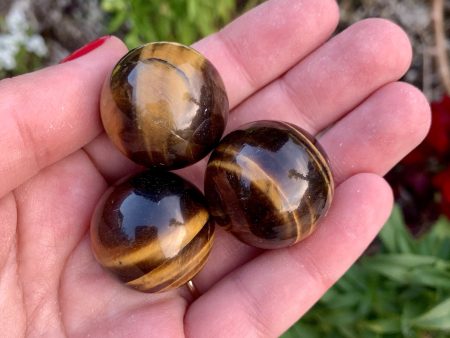 Mini Tiger Eye Sphere Supply