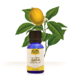 Lemon Essential Oil (15 ml) Online Sale