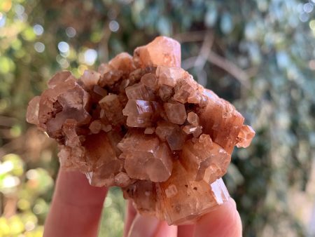 Aragonite Star Cluster Discount