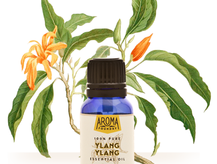 Ylang Ylang Essential Oil (15 ml) on Sale