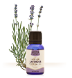 Lavender Essential Oil (15 ml) Online Hot Sale