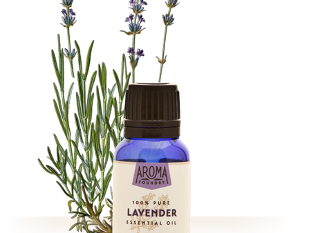 Lavender Essential Oil (15 ml) Online Hot Sale