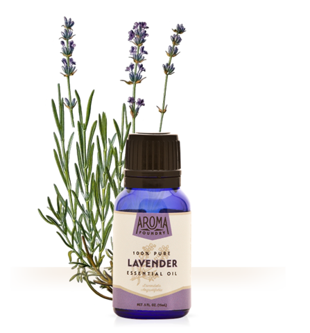 Lavender Essential Oil (15 ml) Online Hot Sale