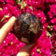 Garnet Crystal - Hexagonal Circle Shape Supply